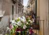 nido-di-ortigia-1