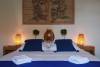 casa-yellow-royal-noto10